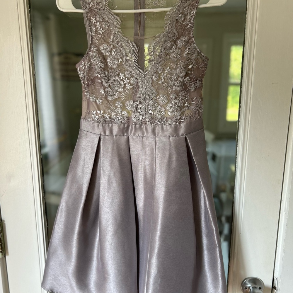 Soieblu Silver Gray Pleated Embellished Mini Dress
